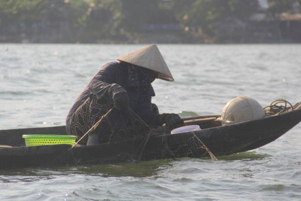 Kỳ lạ loài Kỳ lạ loài