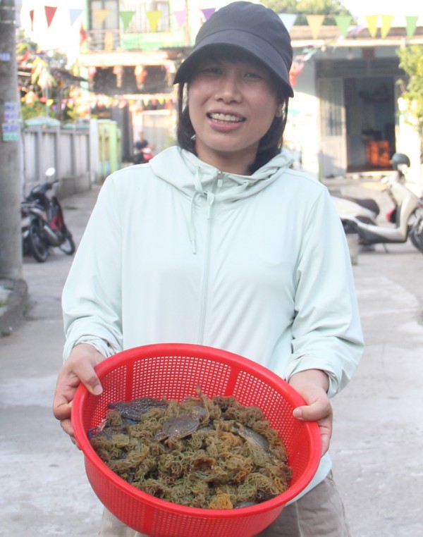 Kỳ lạ loài Kỳ lạ loài