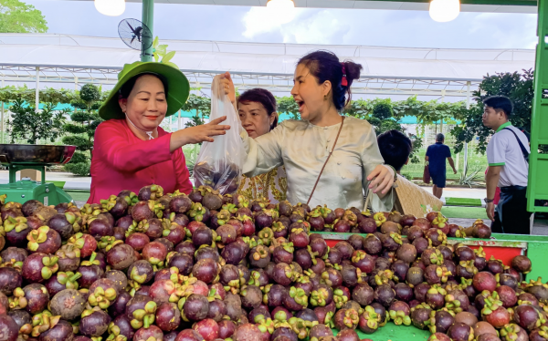 Lễ hội trái cây Nam bộ: Độc lạ món bò nướng từ 26 loại trái cây sắp trình làng