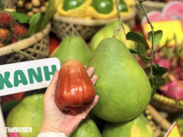 Loạt trái cây độc lạ hút khách tại tuần lễ nông sản vùng miền Bình Đông