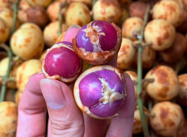 Nhiều người lần đầu thấy trái dâu da ruột tím giá 120.000 đồng/kg: Hương vị thế nào?
