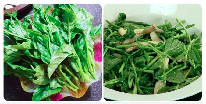 Những người nên thường xuyên ăn rau mồng tơi