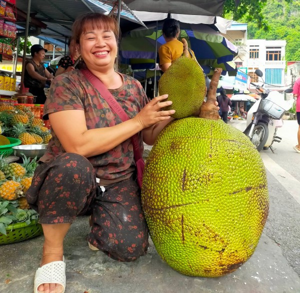 Những quả mít khổng lồ từng 