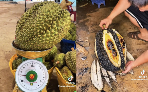 Nướng quả sầu riêng 