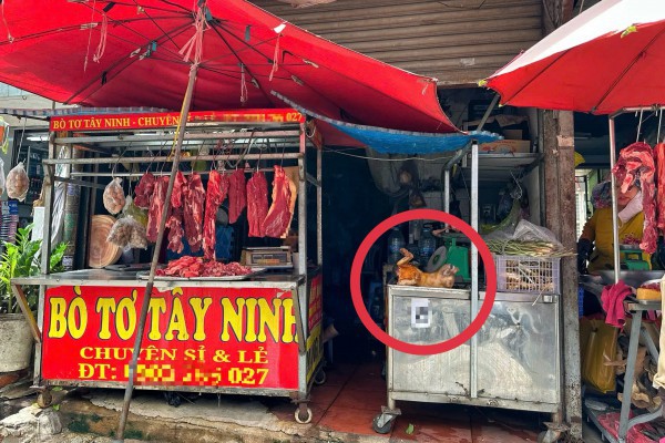 Phố thịt chó một thời ở TP.HCM thưa vắng, vì sao vẫn còn người bán cầy tơ?