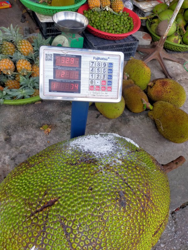 Quả mít khổng lồ nặng 53 kg: Bổ ra, ai trong chợ cũng bất ngờ