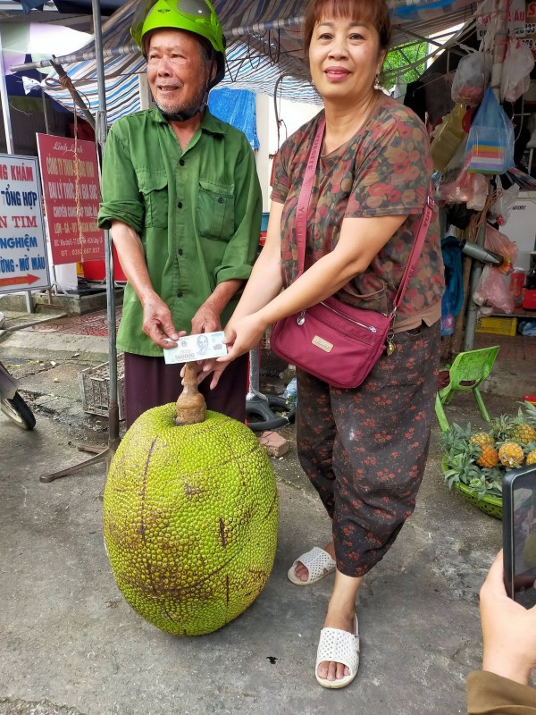 Quả mít khổng lồ nặng 53 kg: Bổ ra, ai trong chợ cũng bất ngờ