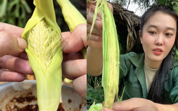 Rau mầm gai là gì mà gây sốt mạng, nhiều người ở TP.HCM tìm mua không có?