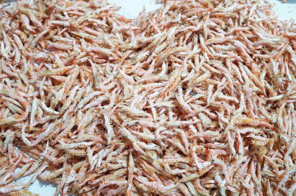 Tôm khô móng chim Cà Mau hiếm cỡ nào mà giá hơn 1,5 triệu đồng/kg?