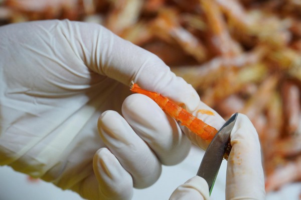 Tôm khô móng chim Cà Mau hiếm cỡ nào mà giá hơn 1,5 triệu đồng/kg?