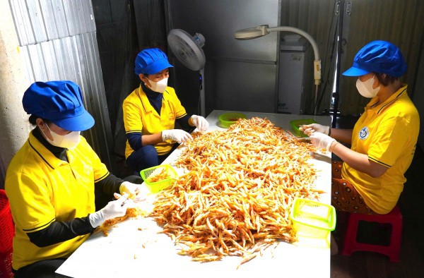 Tôm khô móng chim Cà Mau hiếm cỡ nào mà giá hơn 1,5 triệu đồng/kg?