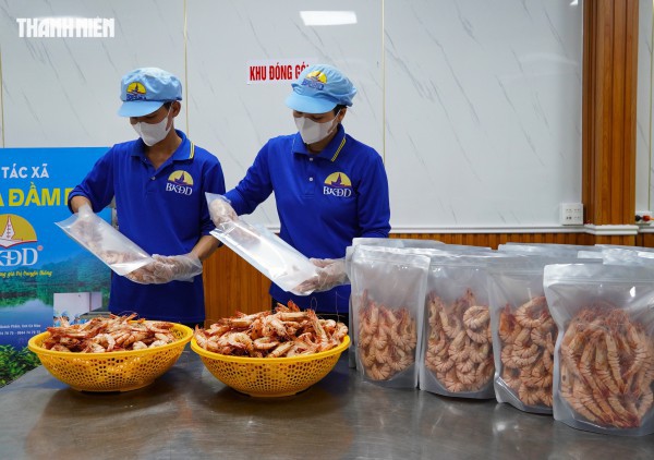 Tôm sú khô nguyên vỏ Cà Mau 