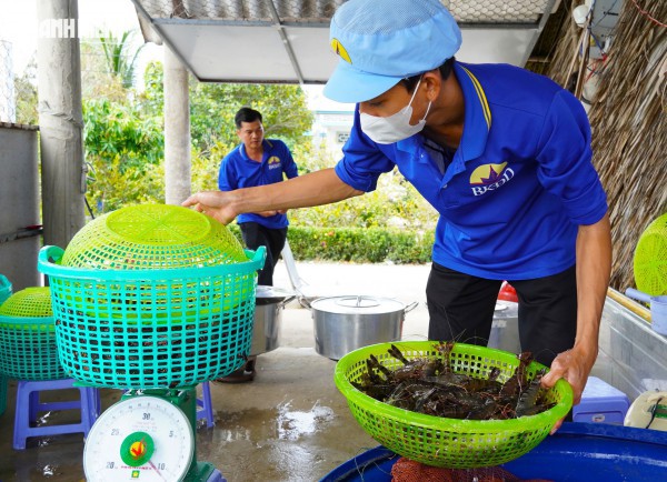 Tôm sú khô nguyên vỏ Cà Mau 
