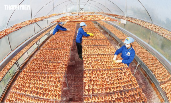 Tôm sú khô nguyên vỏ Cà Mau 