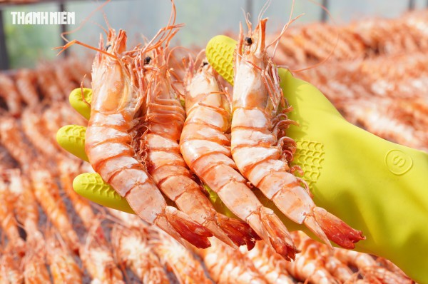 Tôm sú khô nguyên vỏ Cà Mau 