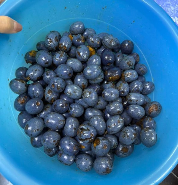 Trái cọ vào mùa: Ăn sao cho đúng để không rát cổ?