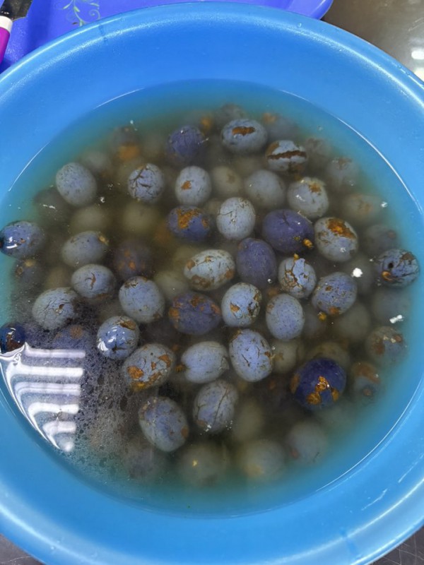 Trái cọ vào mùa: Ăn sao cho đúng để không rát cổ?