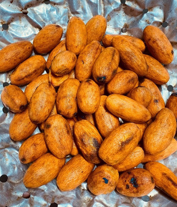 Trái cọ vào mùa: Ăn sao cho đúng để không rát cổ?