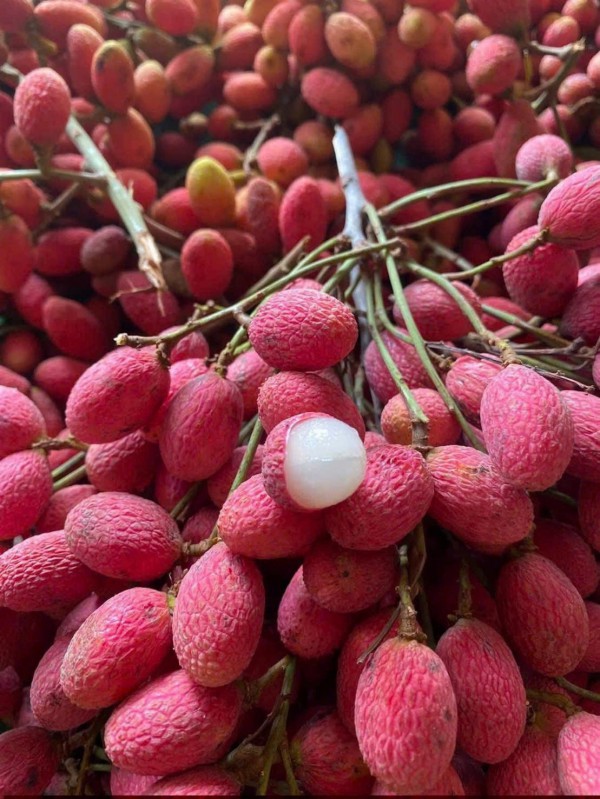 Trái gùi, mít nài, bứa đỏ... đổ bộ quán hủ tiếu ở TP.HCM, nhiều người lùng mua