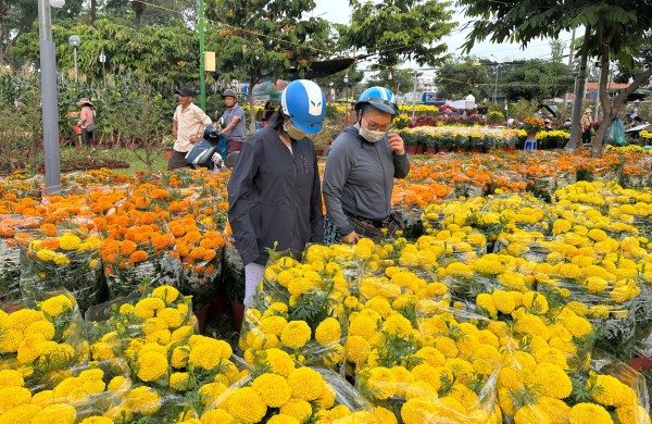 Ăn hoa tết thành hot trend triệu view, nhiều người lo ngại vì lý do này