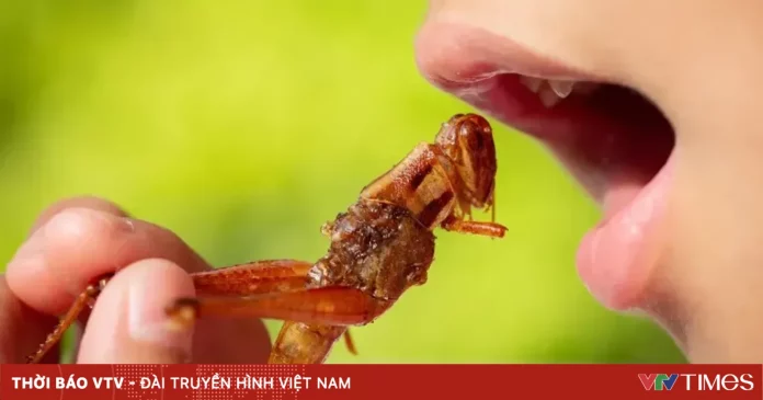 Cảnh báo ngộ độc từ các món ăn chế biến từ côn trùng