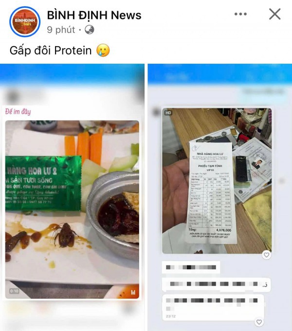 Làm rõ vụ gián xuất hiện trong món ăn tại một nhà hàng ở Quy Nhơn Làm rõ vụ gián xuất hiện trong món ăn tại một nhà hàng ở Quy Nhơn