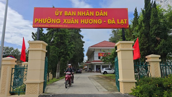 Tỉnh Lâm Đồng yêu cầu báo cáo thông tin thực phẩm bẩn vào trường học