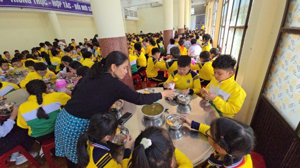 Tỉnh Lâm Đồng yêu cầu báo cáo thông tin thực phẩm bẩn vào trường học