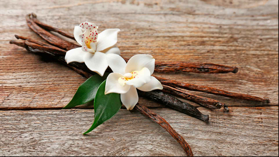 Gợi ý hương nước hoa cho những ngày thu se lạnh