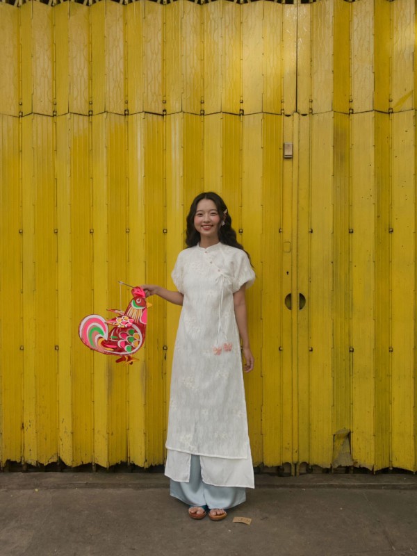 Lâm Thanh Mỹ ở tuổi 20