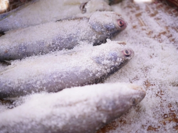 3 loại cá ít dinh dưỡng nhưng nhiều chất độc mà có thể bạn đang ăn chúng mỗi ngày