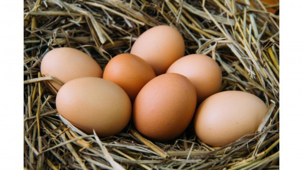 Một thói quen nhỏ trước khi nấu trứng giúp bạn tránh ngộ độc!