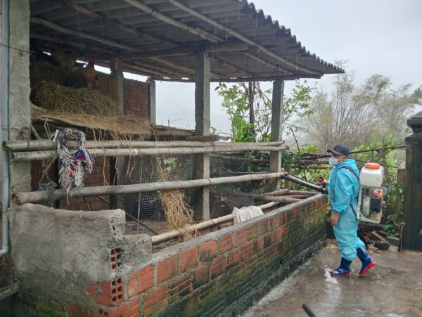 Gia Lai huy động 180 nhân viên y tế xử lý môi trường sau lũ