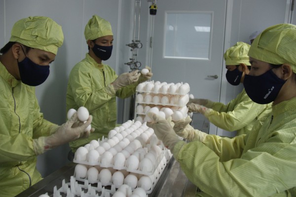 Vắc xin cúm mùa 3 chủng: Xu hướng và lợi ích Vắc xin cúm mùa 3 chủng: Xu hướng và lợi ích