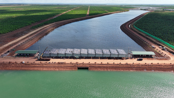 Kinh ngạc với hệ sinh thái nông nghiệp của tỉ phú Trần Bá Dương