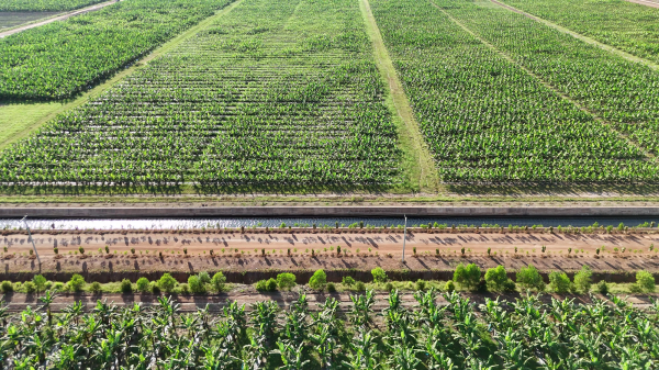 Kinh ngạc với hệ sinh thái nông nghiệp của tỉ phú Trần Bá Dương