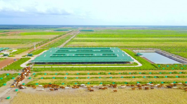 Kinh ngạc với hệ sinh thái nông nghiệp của tỉ phú Trần Bá Dương