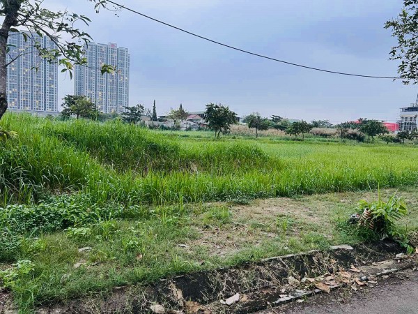 TP.HCM kiến nghị gỡ khó cho đất công