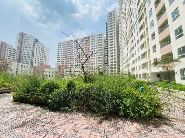 Để tránh lãng phí, nhà đất tái định cư bỏ hoang sẽ bị 