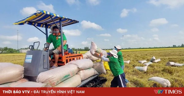 “Bơm vốn” cho vựa nông sản Đồng bằng sông Cửu Long