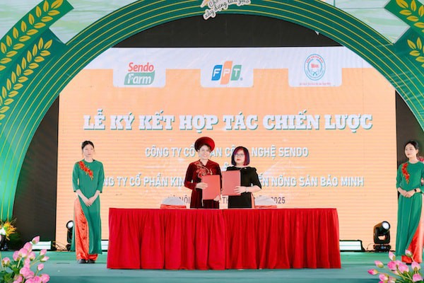 Bảo Minh: Điểm sáng trong mô hình chuỗi giá trị nông nghiệp bền vững