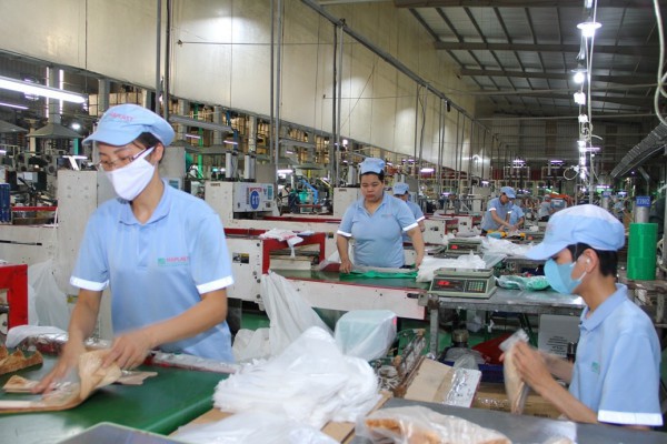 Bao bì Haplast: Thân thiện môi trường – bền vững tương lai