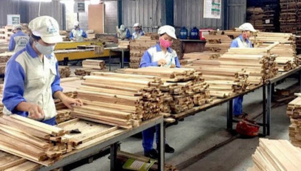 Cải cách đánh giá để doanh nghiệp SME tiếp cận vốn dễ hơn