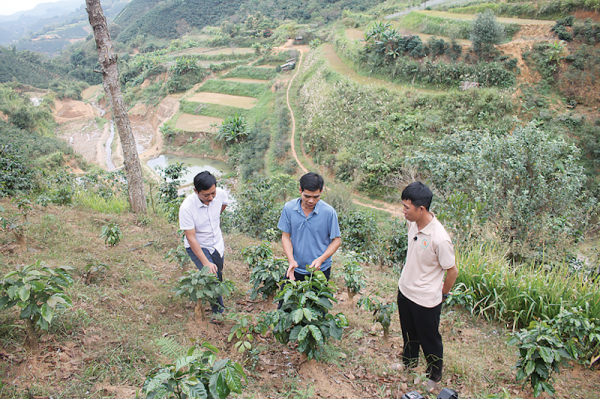 Cần hình thành mạng lưới nông nghiệp sinh thái