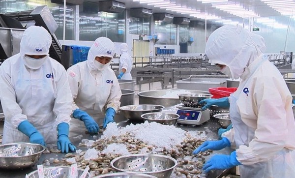 Chuỗi thủy sản Việt Nam trước “bài kiểm tra” minh bạch toàn diện