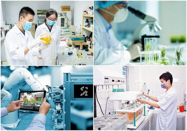 Chuyển dịch đầu tư tư nhân vào lĩnh vực giá trị gia tăng cao hơn
