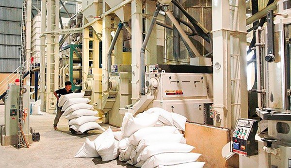 “Cởi trói” xuất khẩu gạo: “Mở cửa” hay tạo thêm “kẽ hở”?