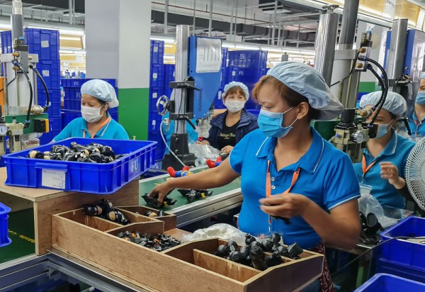Doanh nghiệp Thái Bình chung tay thúc đẩy phát triển kinh tế