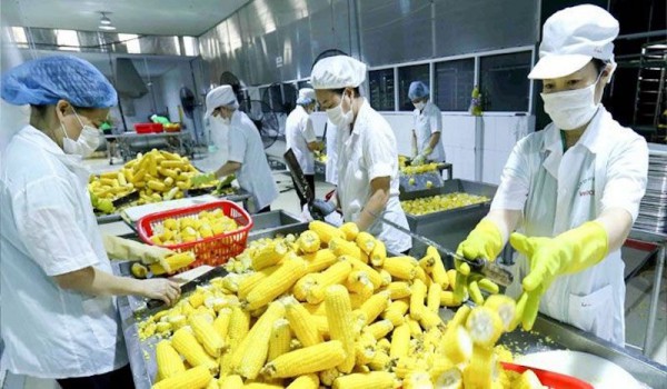 Doanh nghiệp “chạy đua” trước quy định mới của Trung Quốc