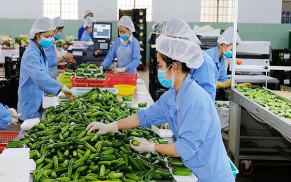 Doanh nghiệp “chạy đua” trước quy định mới của Trung Quốc